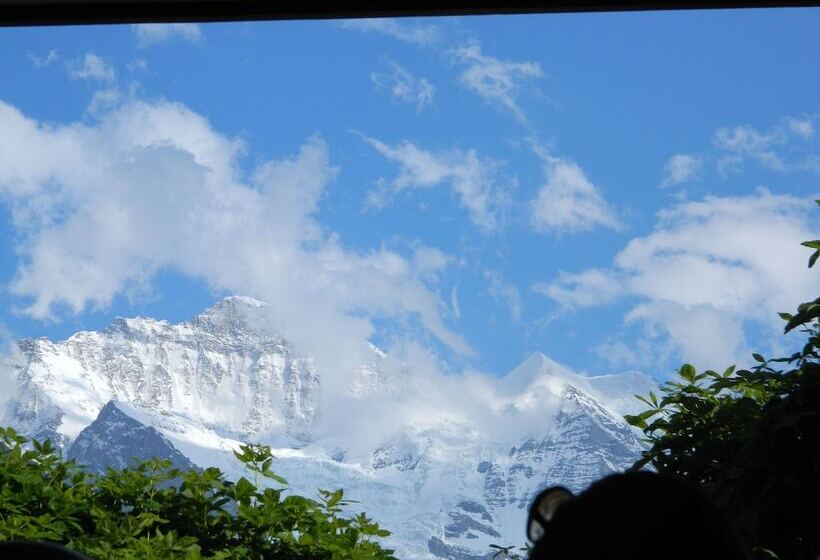 Historic Hotel Falken