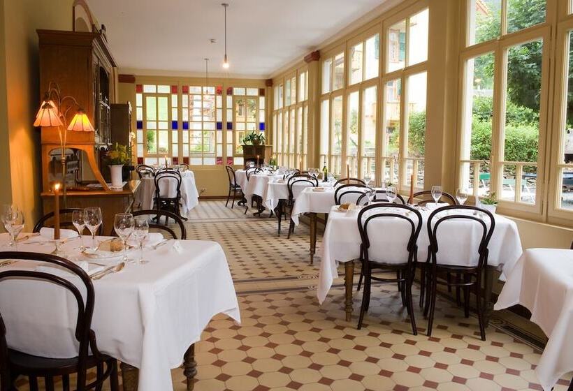 Historic Hotel Falken