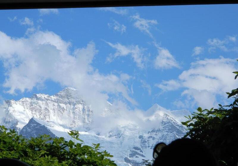 Historic Hotel Falken