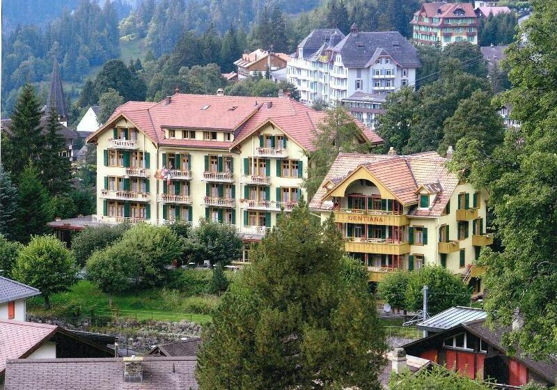 Historic Hotel Falken