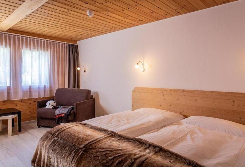 酒店 Hôtel Alpina   Swiss Ski & Bike Lodge Grimentz