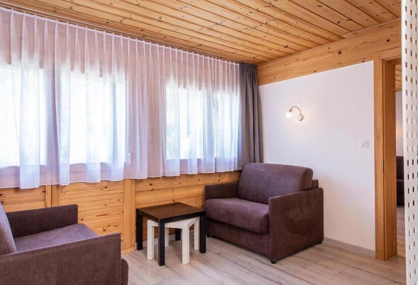 酒店 Hôtel Alpina   Swiss Ski & Bike Lodge Grimentz