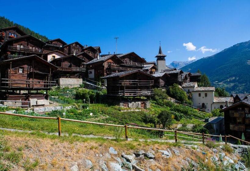 酒店 Hôtel Alpina   Swiss Ski & Bike Lodge Grimentz