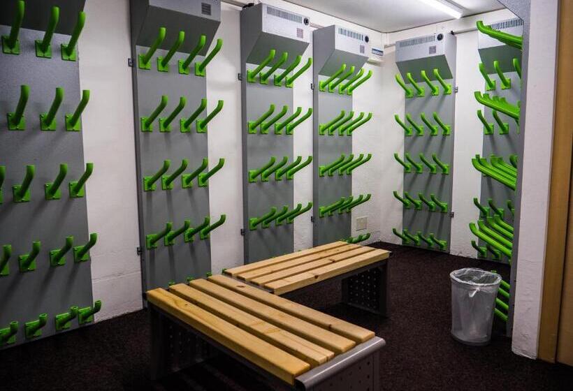 酒店 Hôtel Alpina   Swiss Ski & Bike Lodge Grimentz