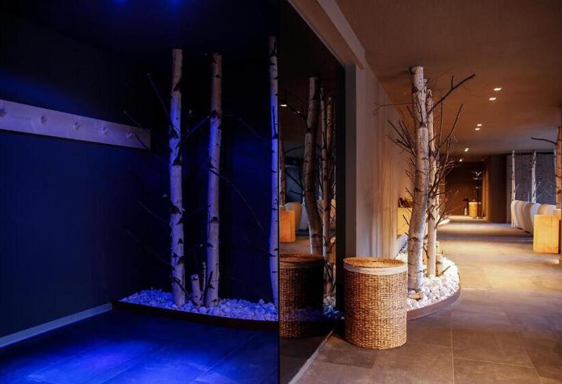 酒店 Hôtel Alpina   Swiss Ski & Bike Lodge Grimentz