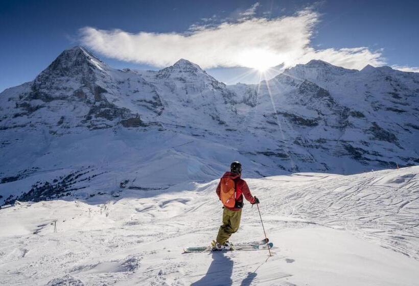 Отель Jungfraublick