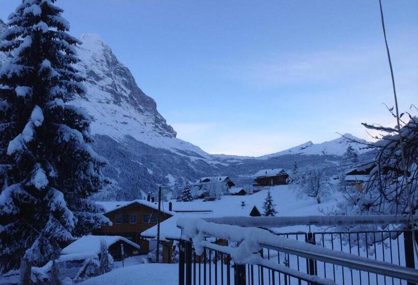 Hotel Grindellodge