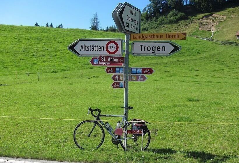 ホテル Linde Heiden Swiss Quality