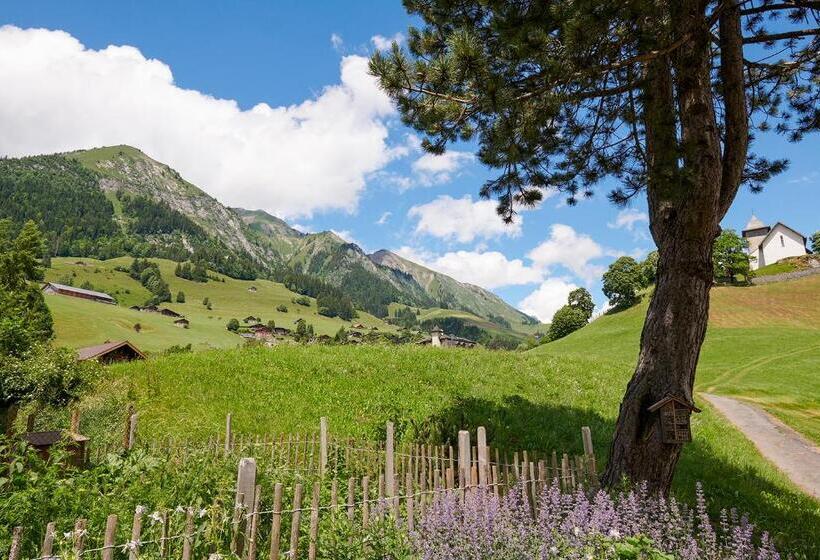 בית מלון כפרי Maison D Hôtes Ermitage