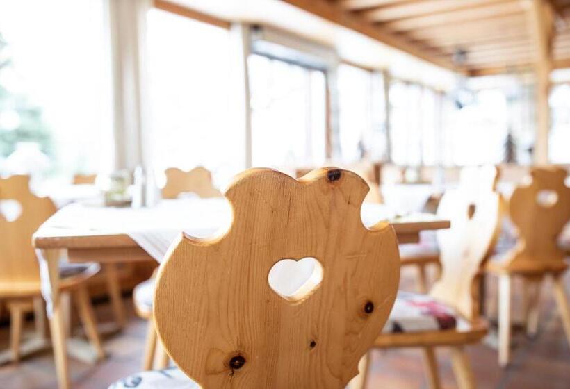 فندق Meisser Lodge