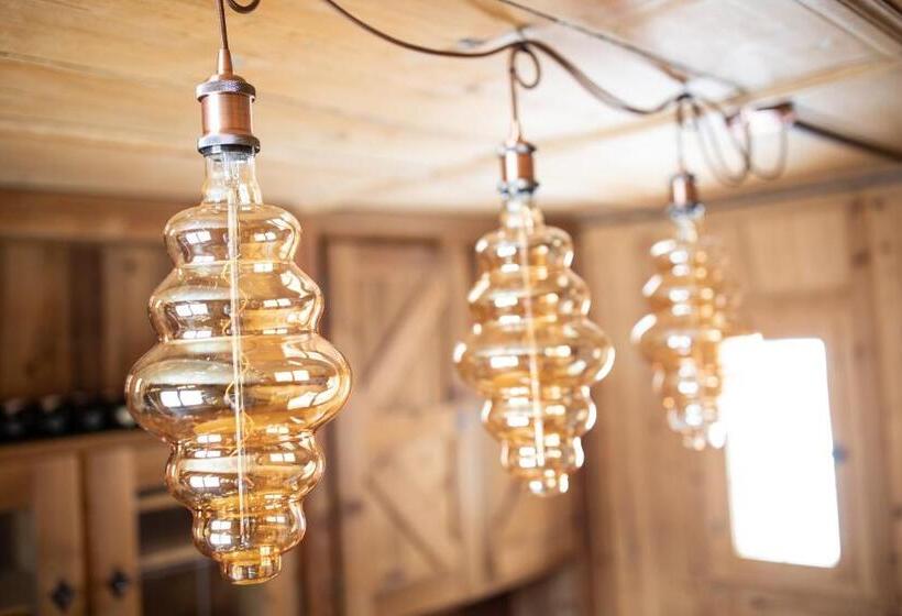 فندق Meisser Lodge