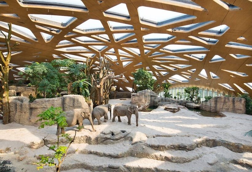 ホテル Montana Zurich