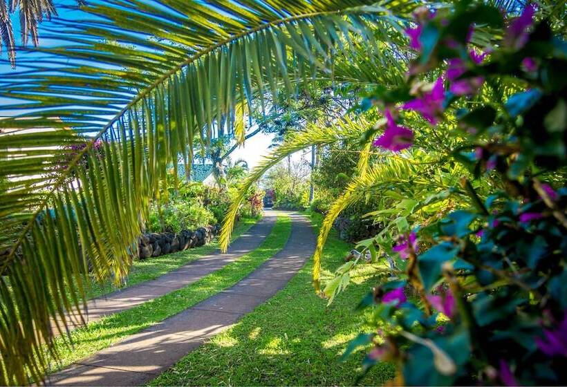 בית מלון כפרי Otai