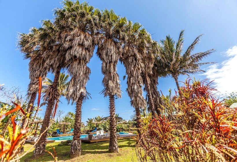 בית מלון כפרי Otai