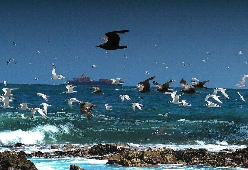 Panamericana Hotel Arica