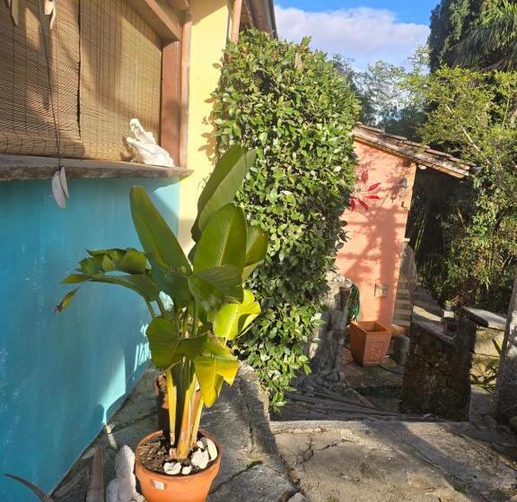 هتل Pensione Olanda