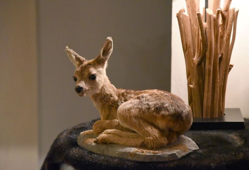 酒店 Piz St. Moritz