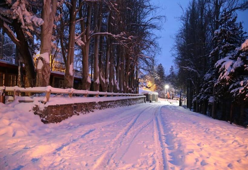 فندق Posada De Farellones