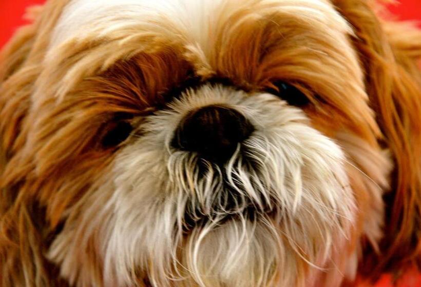 호텔 Poschiavo Suisse