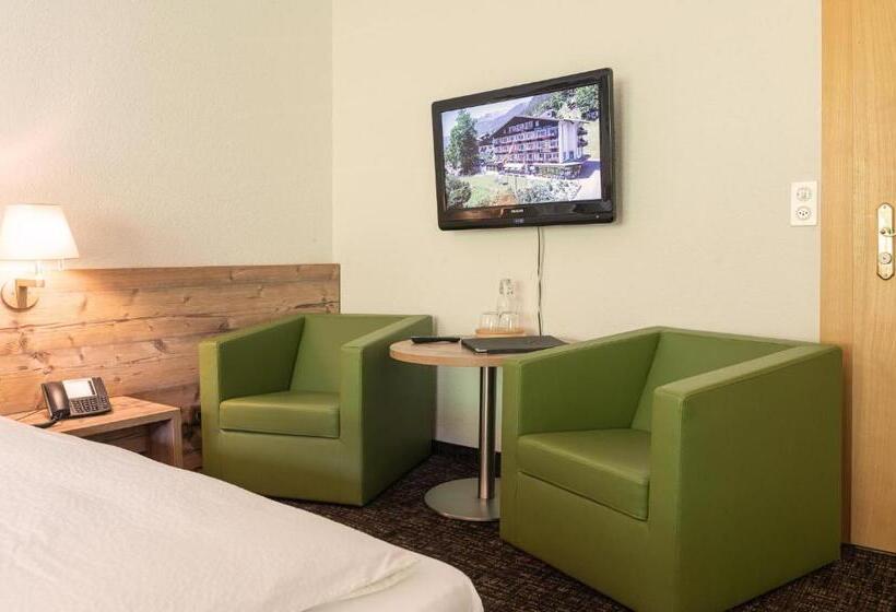 Отель Restaurant Alpina