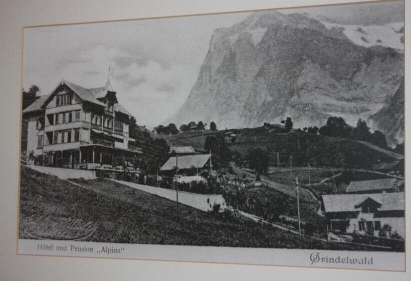 Отель Restaurant Alpina