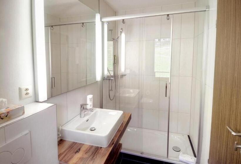 Отель Restaurant Alpina