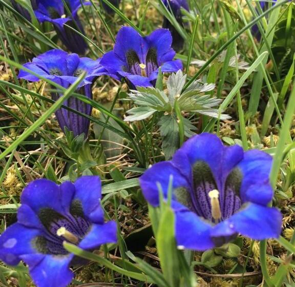 호텔 Restaurant Rätia