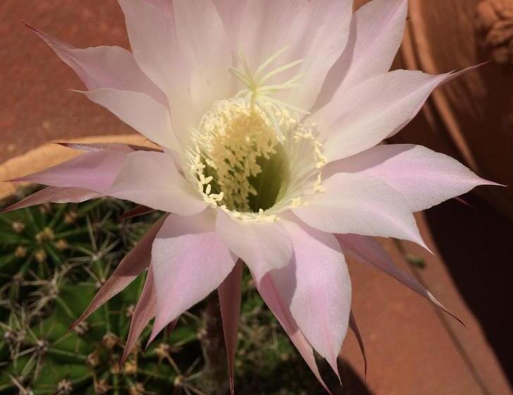 호텔 Restaurant Rätia