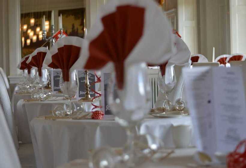 Отель Schatzalp