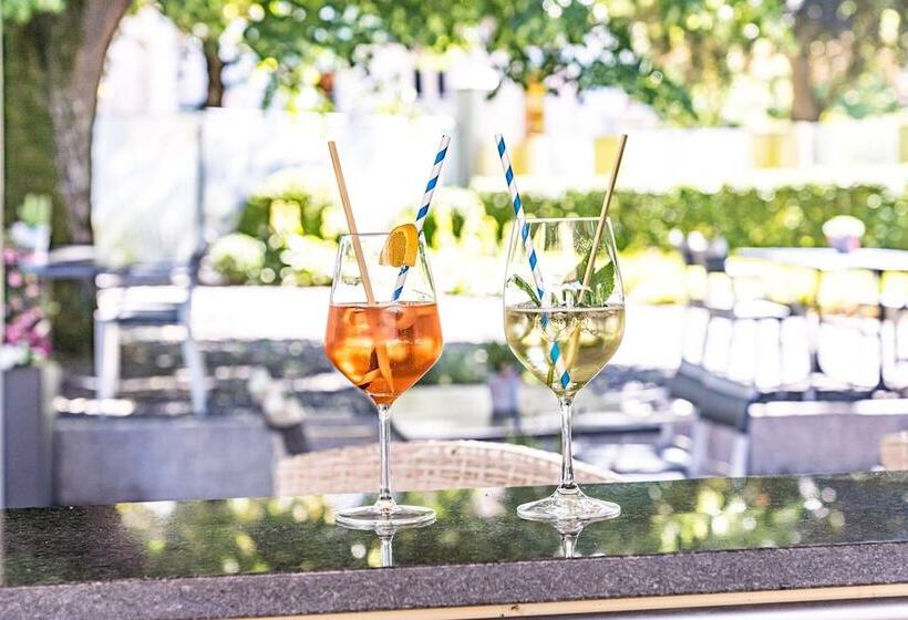 Отель Schützen Rheinfelden