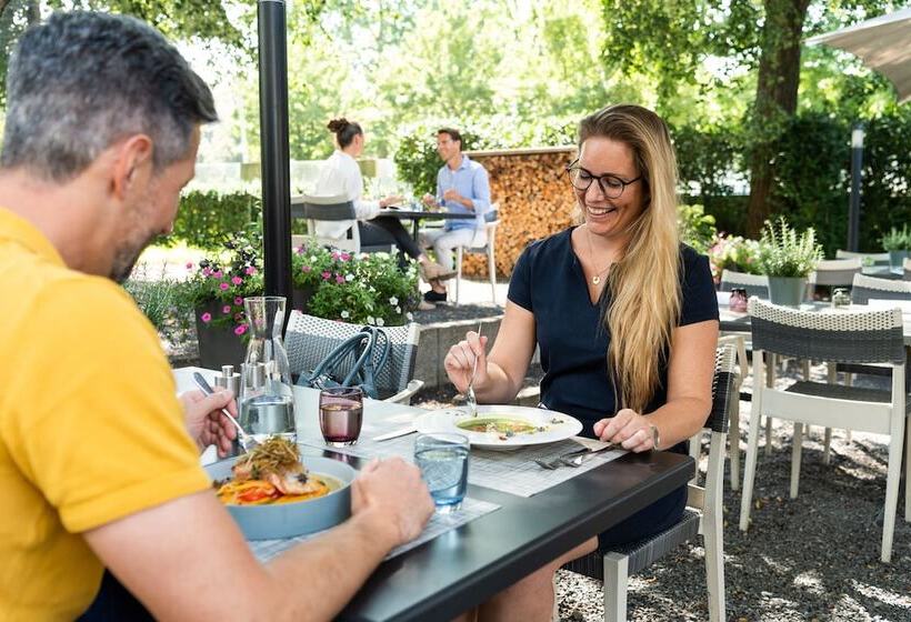 Отель Schützen Rheinfelden