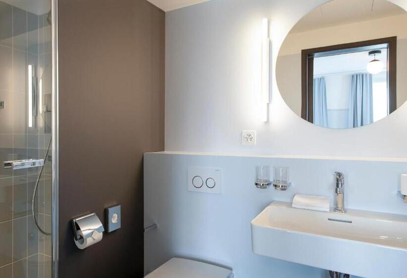 Отель Schützen Rheinfelden