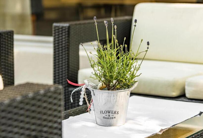 Отель Schützen Rheinfelden