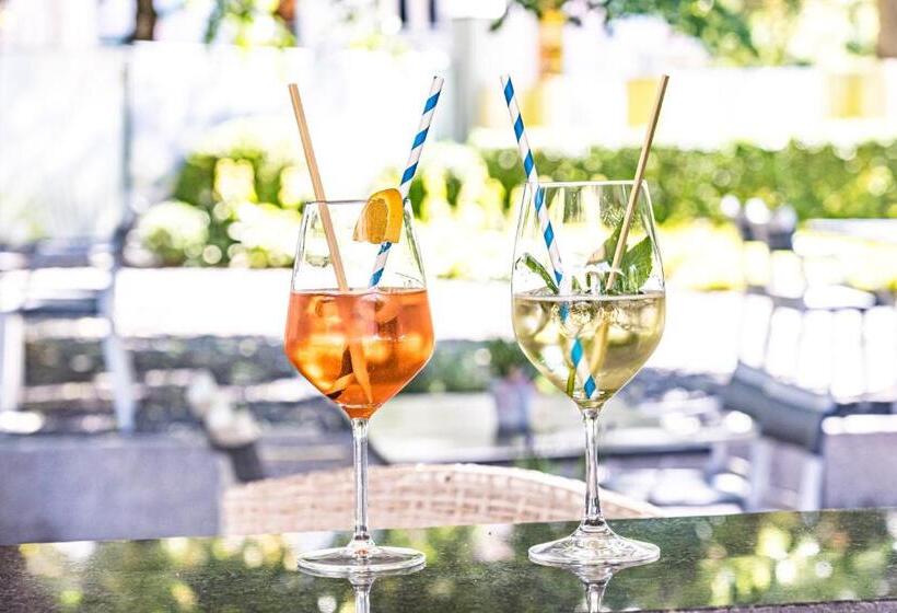 Отель Schützen Rheinfelden