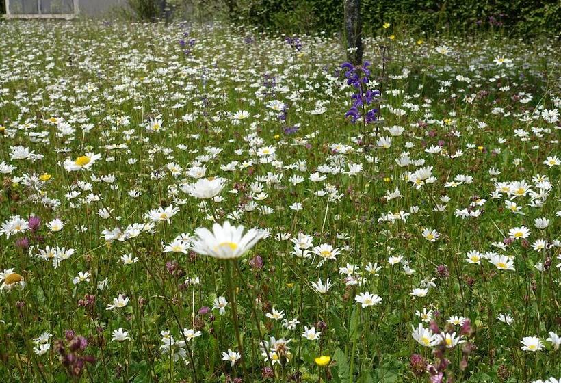 Отель Schweizerhof