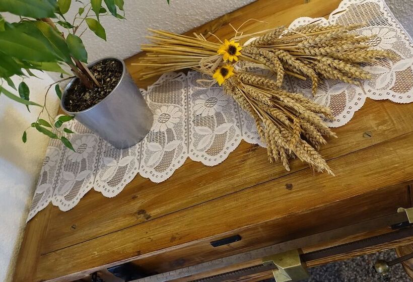 Отель Schweizerhof