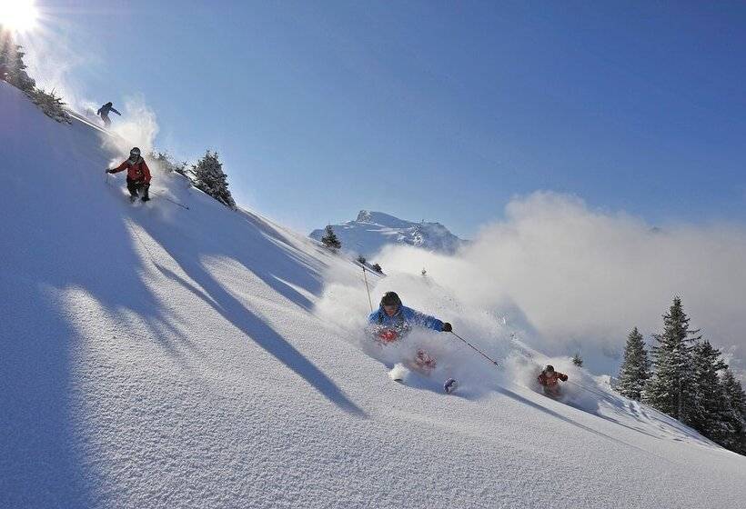 Отель Schweizerhof