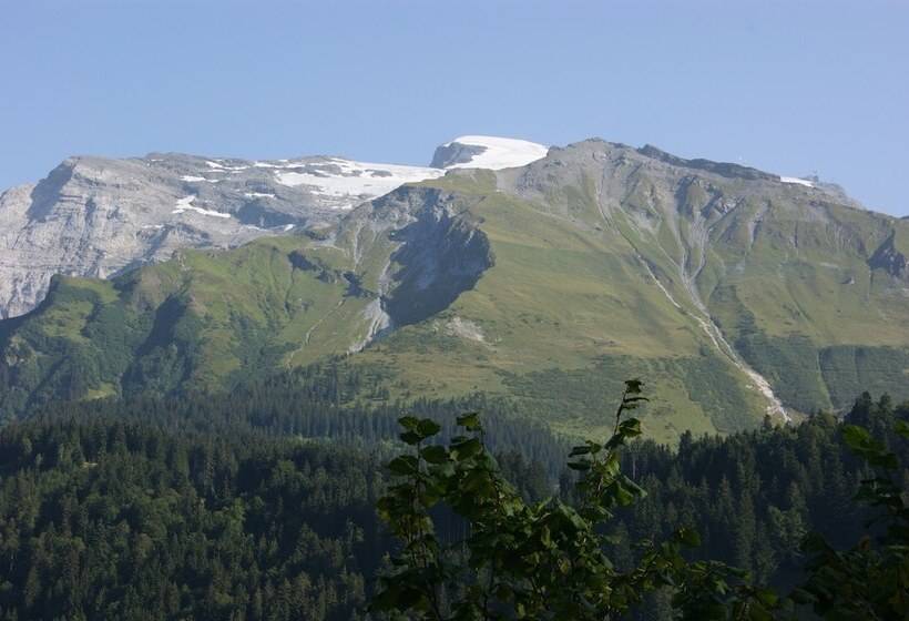 Отель Schweizerhof