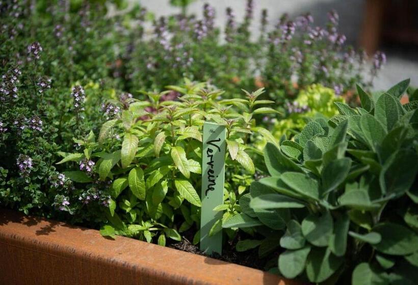 酒店 Schweizerhof Lenzerheide