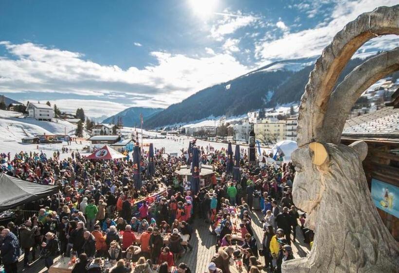 Отель Steinbock