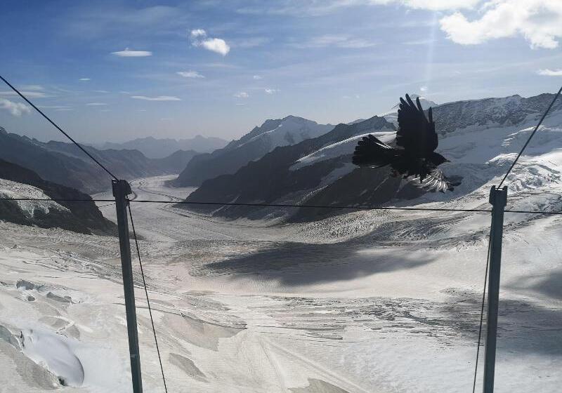 Swiss Lodge Hotel Bernerhof Wengen