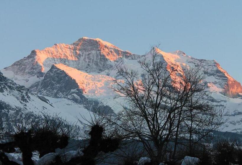 Swiss Lodge Hotel Bernerhof Wengen