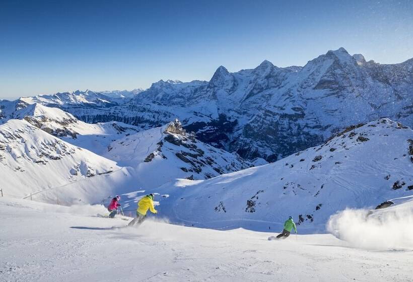 酒店 Victoria Lauberhorn Wengen