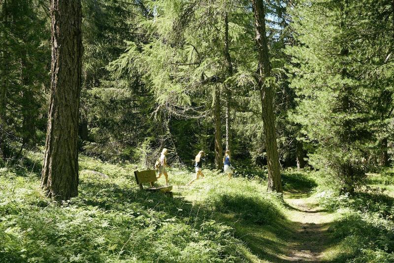 酒店 Waldhaus Sils