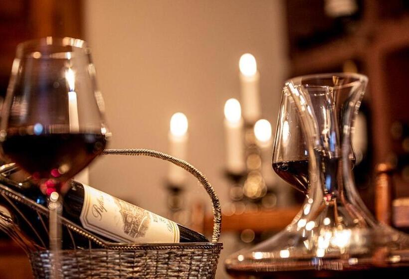 Swiss Historic Hotel Villa Carona