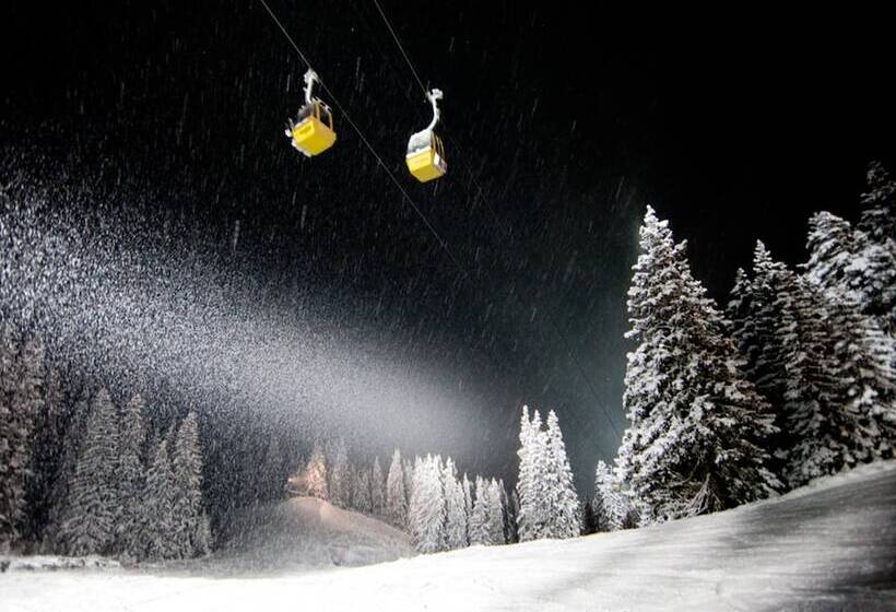 Victoria   Alpine Boutique Hotel & Fine Dining