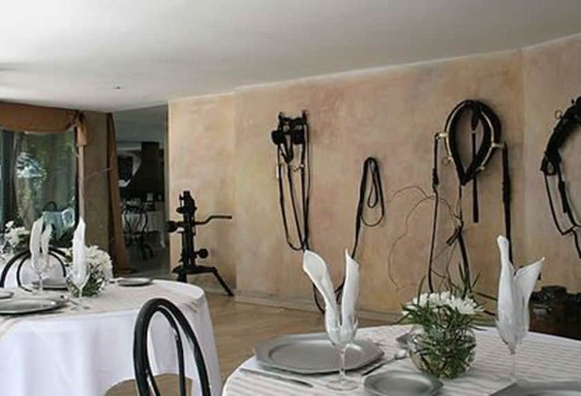 בית מלון כפרי Acacias De Vitacura