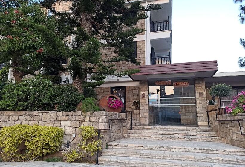 ホテル Dionysos Central