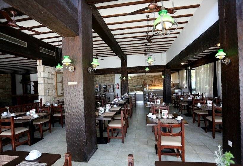 ホテル Dionysos Central