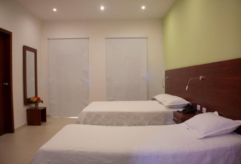 فندق Dorado Plaza Centro Historico